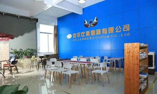 點贊！坦洲一企業(yè)入選廣東省工業(yè)旅游培育資源庫，文化藝術(shù)交流策劃點亮工業(yè)新風(fēng)景