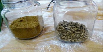 芬蘭食品公司推出世界首款蟋蟀粉面包，開(kāi)創(chuàng)可持續(xù)食品新紀(jì)元